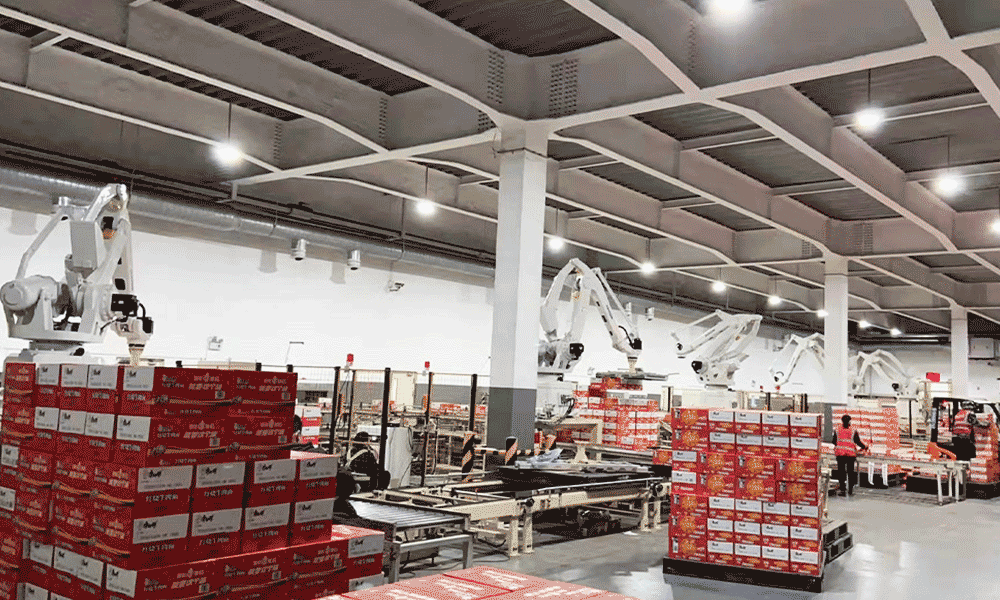 ระบบจัดเรียงพาเลทอัตโนมัติสำหรับกล่องบรรจุภัณฑ์สำเร็จรูป