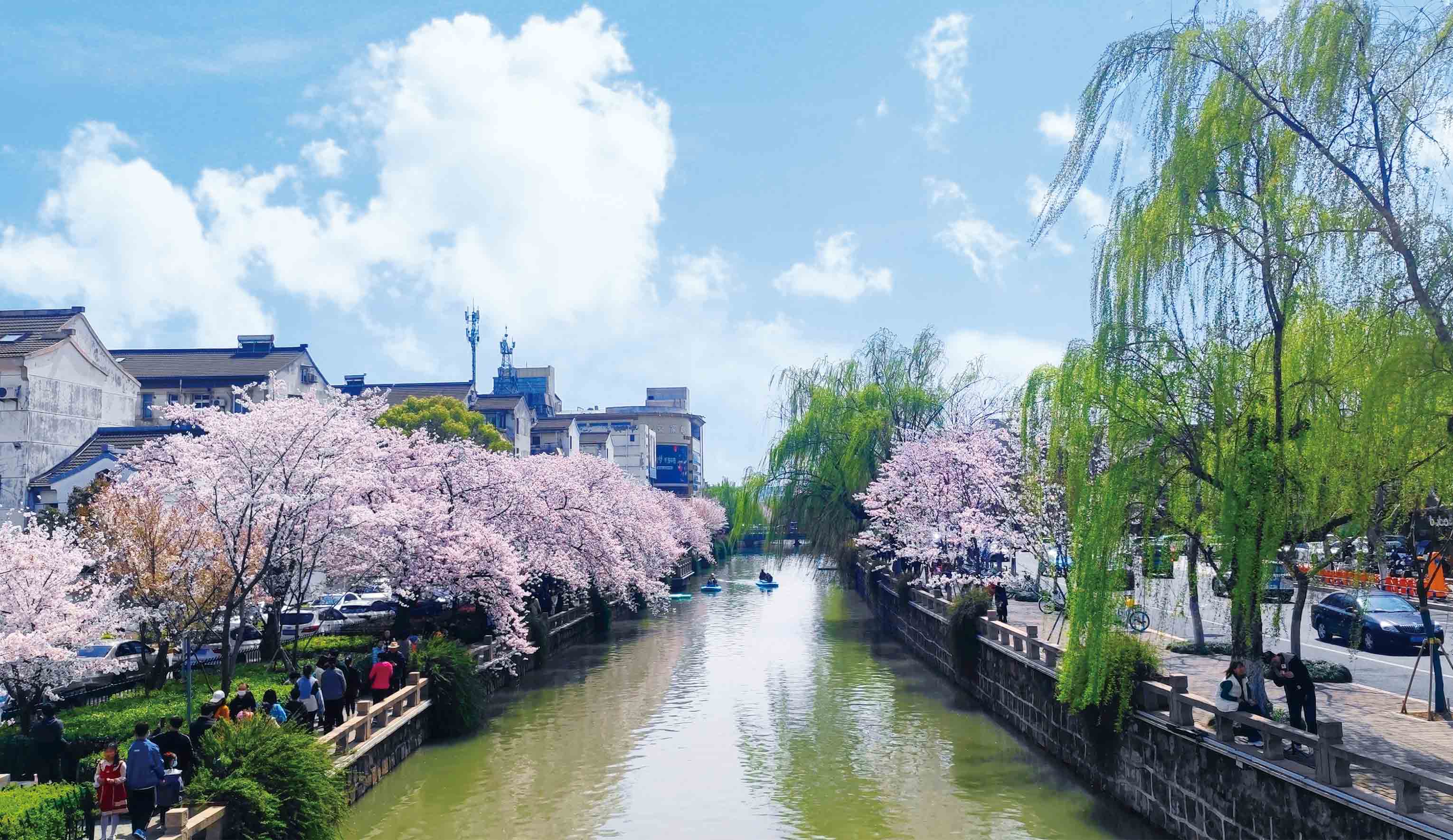 【今日谷雨】星辉平台娱乐人镜头下的春日诗篇