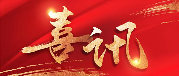 星辉平台娱乐公司总裁张进当选第十四届全国人大代表！